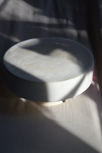 Image 14 of Cake & Pie Stand in Fresh Snow