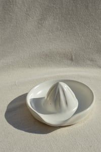 Image 2 of Citrus Juicer