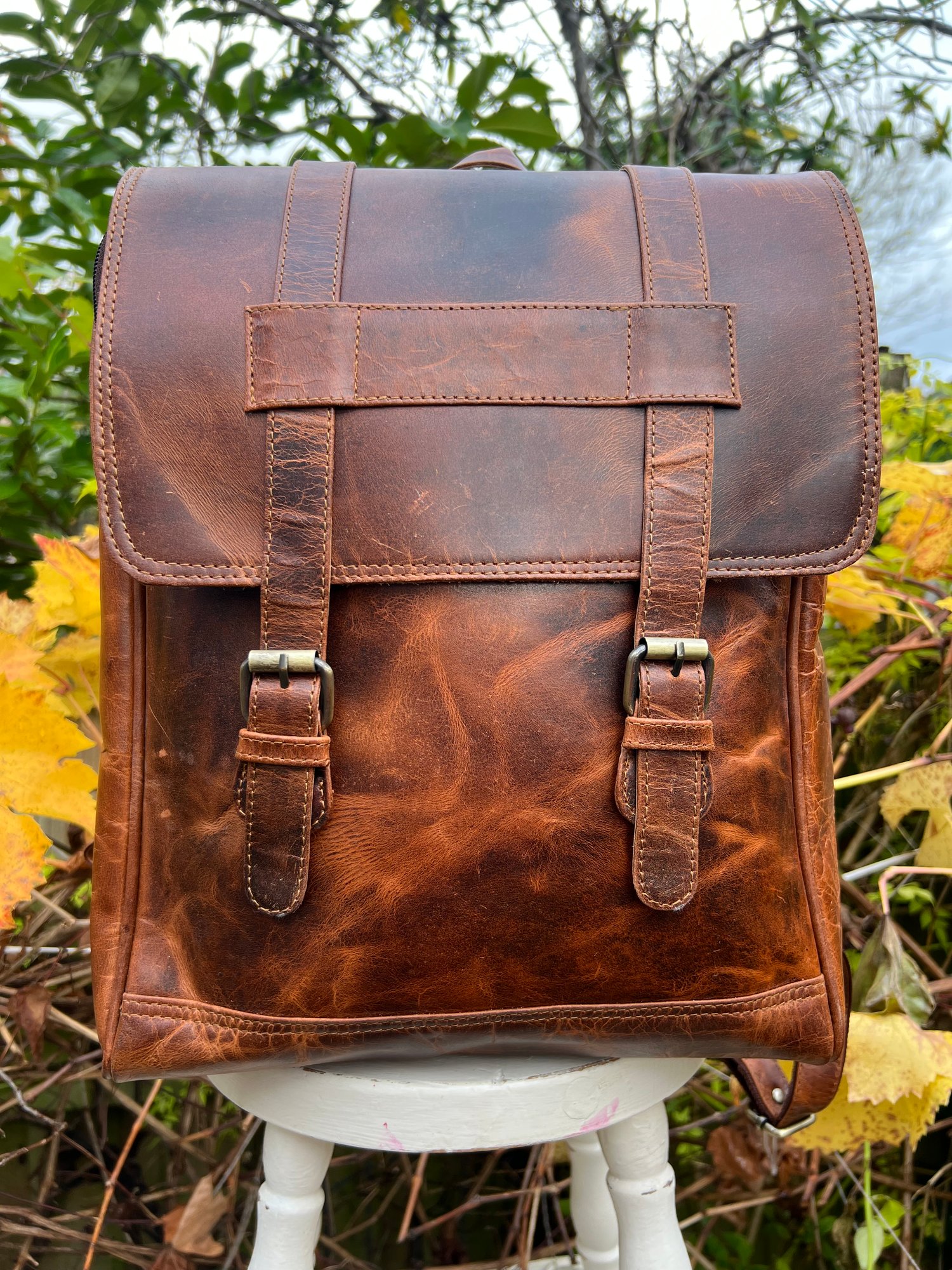 Image of Large Backpack/Laptop Bag