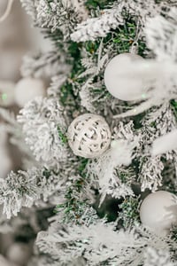 Image 3 of Studio Christmas Minis/ One day only December 7th