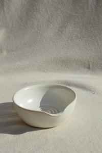Image 12 of Garlic Grate-Bowls