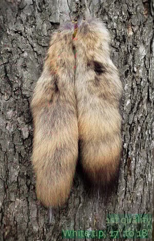 Image of Coyote Tail Keychain