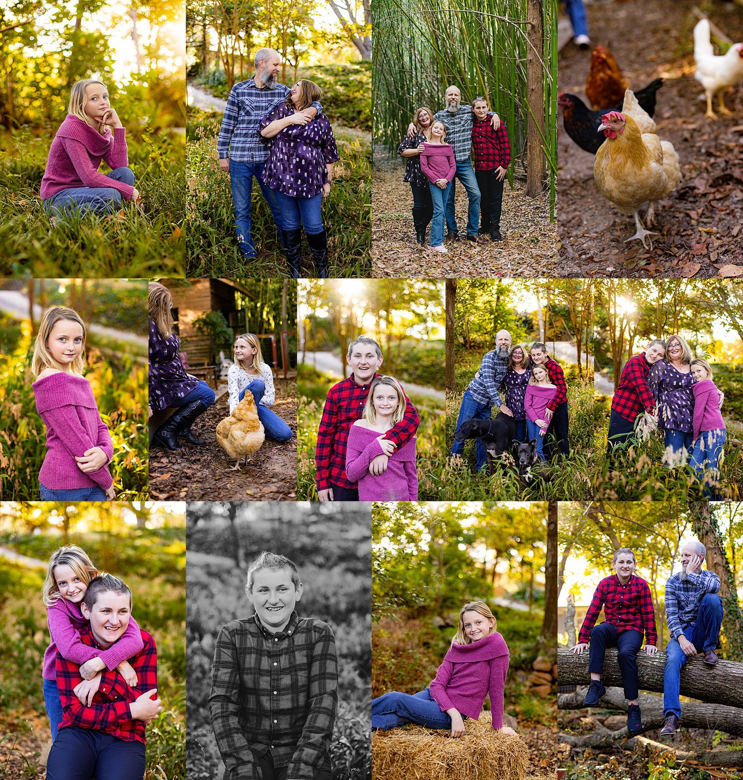 Image of Full Family Session | 2026