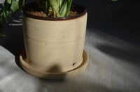 Image 4 of Planter