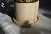 Image 3 of Planter