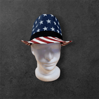 Image 1 of USA Fedora