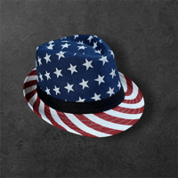 Image 2 of USA Fedora