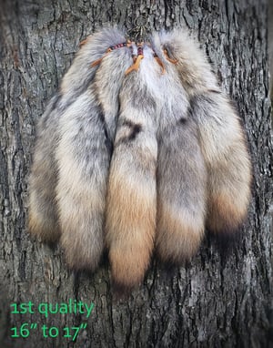 Image of Coyote Tail Keychain