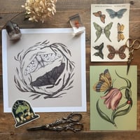 Image 1 of Gift Set: For the Bug Buff