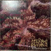Image of Cenotaph - Repuked Purulency Vinyl - Picture Disc