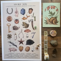 Gift Set: For the Snail Stan