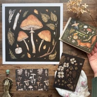 Gift Set: For the Fungi Forager