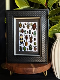 BEETLE BOX - WOVEN BLACK