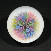 Image 1 of Prism Petal Burst