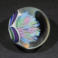 Image 9 of Prism Petal Burst