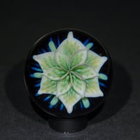 Image 1 of Nova Blossom