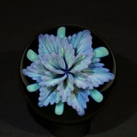 Image 1 of Petal Tides