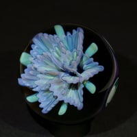 Image 2 of Petal Tides