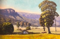 Image 1 of Sunny Morning, Bogee