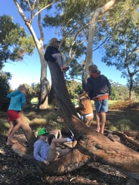 Image 12 of WARRIORS CODE BOYS