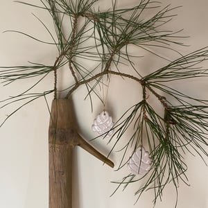 Image of POMME DE PIN