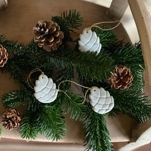 Image of POMME DE PIN