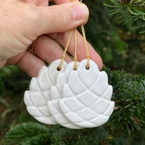 Image of POMME DE PIN