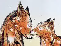 Image 4 of Fox Family – Woodland Moment