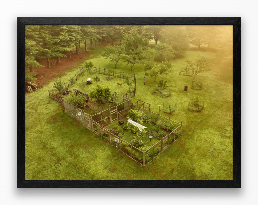 Image of Custom Prints