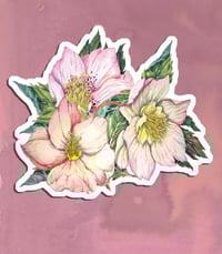 Image 4 of Pack de stickers champ de fleurs