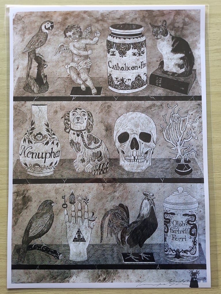 Cabinet de curiosités laser paper A3 