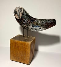 Image 5 of OWL no 2