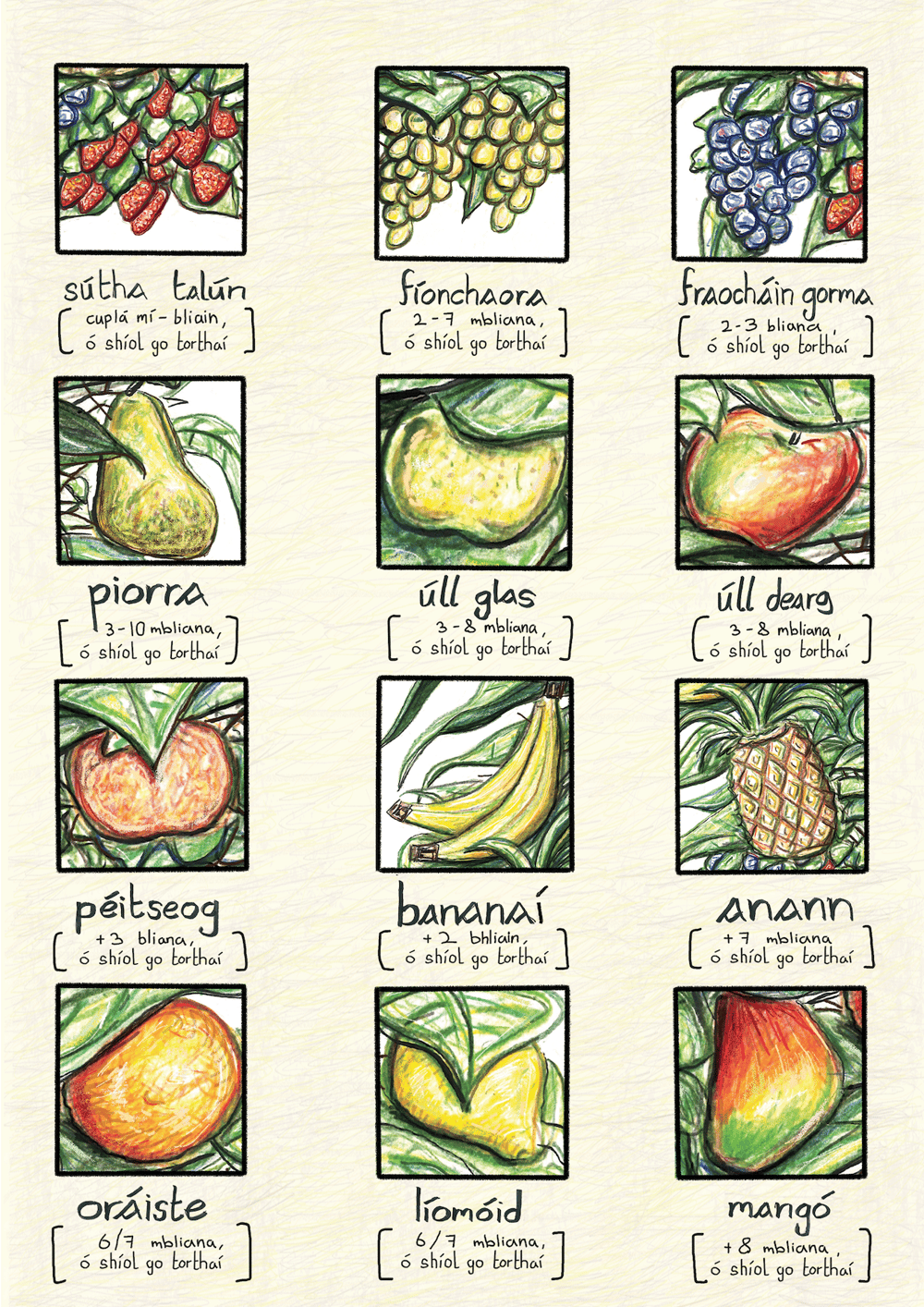 Toradh do shaothair - Print Pack