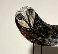 Image 1 of OWL no 2
