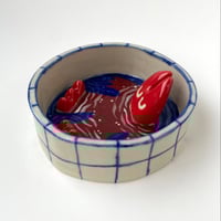 Image of Swimming Devil Dish