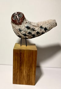 Image 2 of OWL no 6