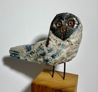 Image 4 of OWL no 8