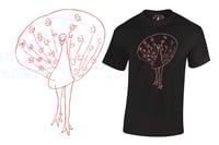 Image 2 of 'Pavo Real'