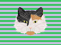 Image 4 of CAT POUCH - GREEN AND LILAC