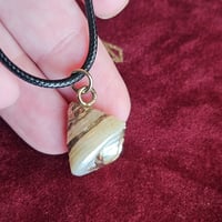 Image 1 of Shell Necklace – Water Element Energy