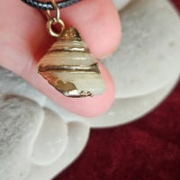 Image 4 of Shell Necklace – Water Element Energy
