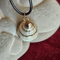 Image 5 of Shell Necklace – Water Element Energy