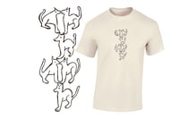 Image 2 of 'Gatitos'