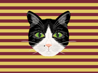 Image 4 of CAT POUCH - BURGUNDY AND YELLOW