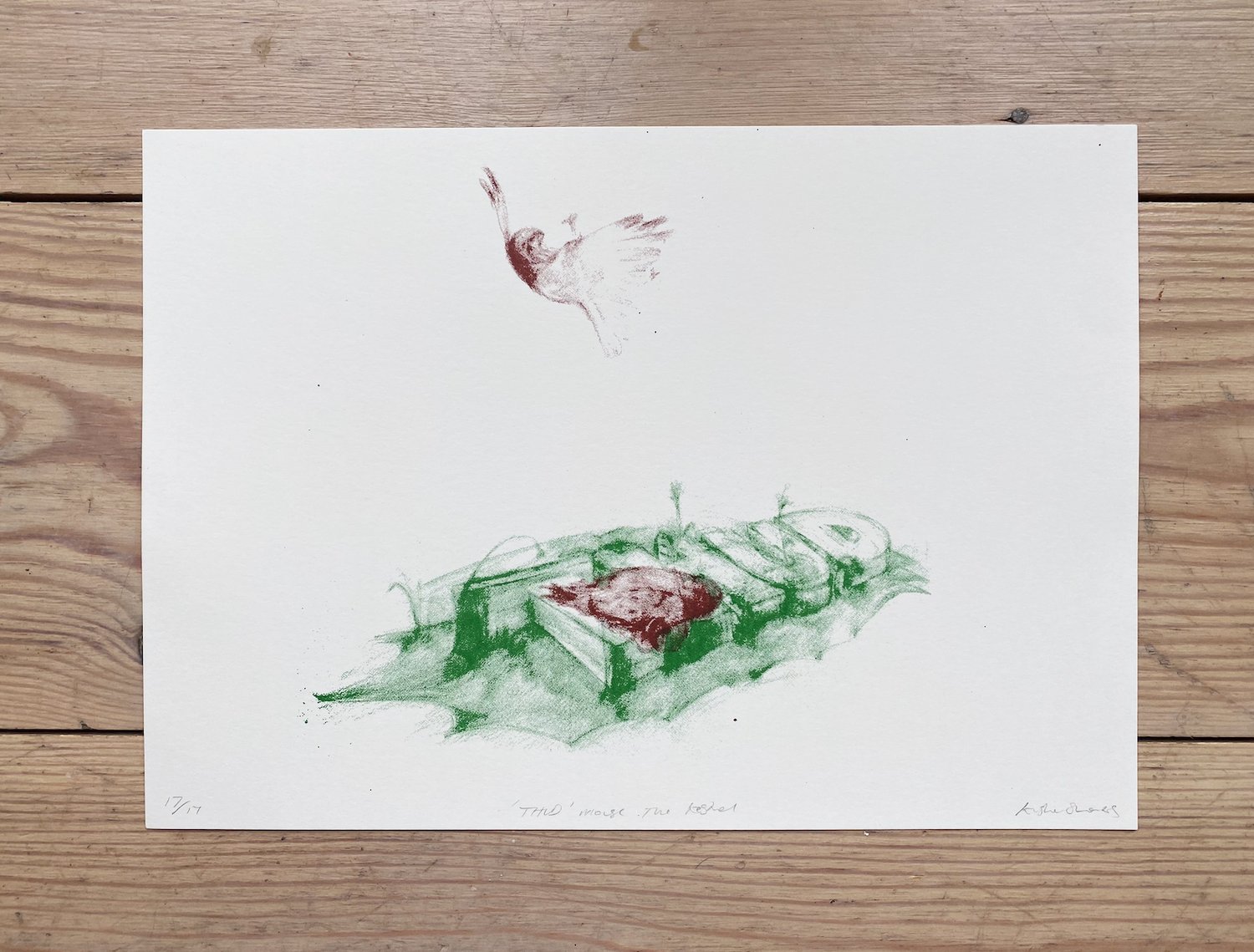 Screenprint from a page of Mouse the Kestrel 