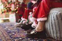 Christmas Minis 2026 in Maryland and Virginia: FOUR OPTIONS TO BOOK!