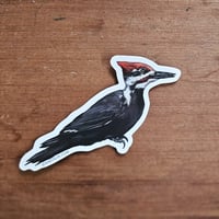 Pileated Woodpecker Vinyl Sticker