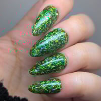 Image 7 of Name This Polish