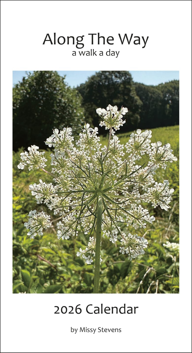 Image of  Along the Way, a walk a day  - 2026 Calendar