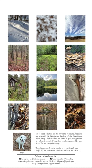 Image of  Along the Way, a walk a day  - 2026 Calendar